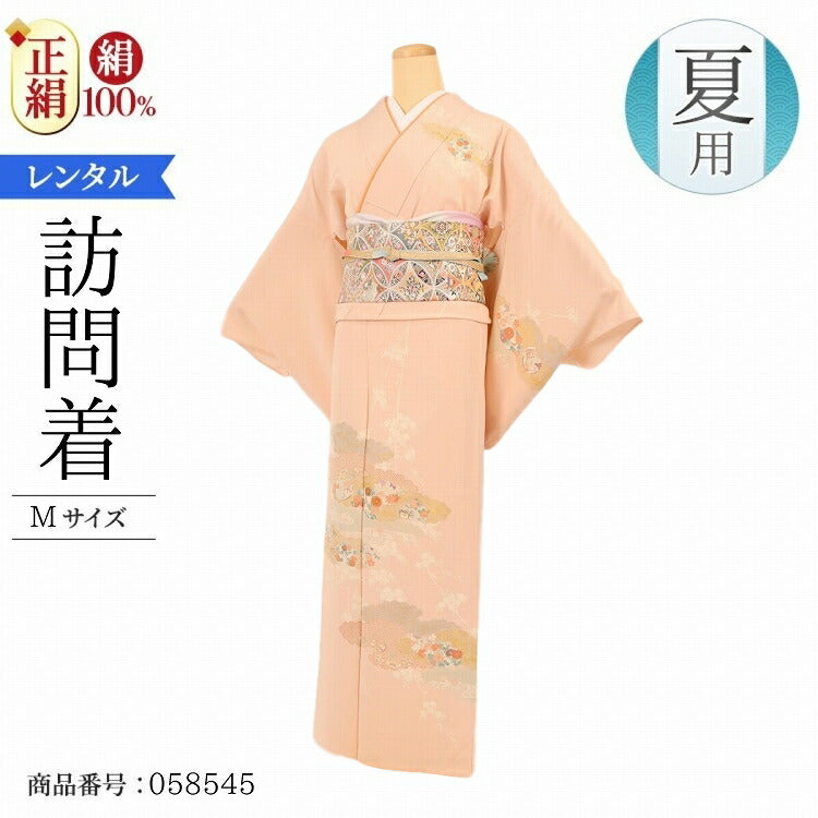 単衣 訪問着 レンタル 正絹 モダン 夏用 お宮参り 着物 レンタル 母親 Mサイズ 薄時疋田花雲取 【レンタル】 七五三 母親 着物 訪問着 単衣 20代 30代 40代 50代 60代