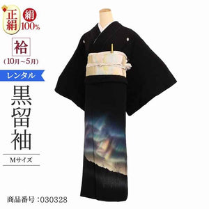 黒留袖 レンタル おすすめ Mサイズ オーロラ大地 正絹 留袖 レンタル 留袖レンタル 黒留袖レンタル 【レンタル】 黒留袖 袷 母親 20代 30代 40代 50代 60代