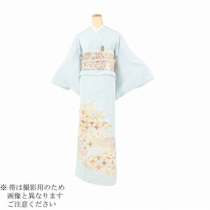 レンタル 色留袖 レンタル おしゃれ Mサイズ 薄水七宝雲取 【レンタル】 五つ紋 20代 30代 40代 50代 正絹 結婚式 フルセット 叙勲 叙勲式 式典 金婚式 祖母 親族 姉妹 叔母 伯母 比翼仕立て 帯