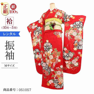 振袖 レンタル 赤 【Mサイズ 赤花篭 山本美月 】 振袖 レンタル 成人式 シンプル 1か月 振袖レンタル フルセット 結婚式  【レンタル】 大正ロマン 振袖