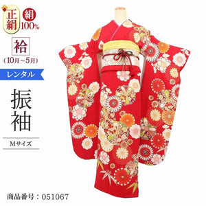 振袖 レンタル 赤  【Mサイズ 赤菊尽くし】 振袖 レンタル 成人式 シンプル 1か月 振袖レンタル フルセット 結婚式  【レンタル】 大正ロマン 振袖