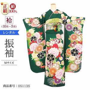 振袖 レンタル 緑 【Mサイズ 深緑亀甲花園】 振袖 レンタル 成人式 シンプル 結婚式 レトロ かっこいい 【レンタル】 大正ロマン 振袖 レンタル