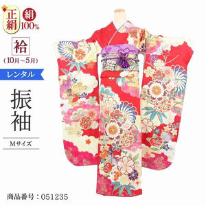 振袖 レンタル 赤 【Mサイズ 赤雲取鼓 平祐奈】 振袖 レンタル 成人式 シンプル 結婚式 レトロ かっこいい 【レンタル】 大正ロマン 振袖 レンタル