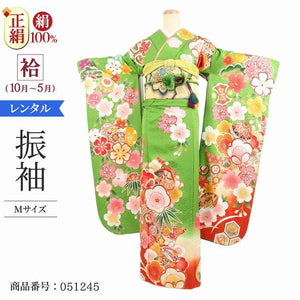 振袖 レンタル 緑 【Mサイズ 若草王道古典 マーベラス】 振袖 レンタル 成人式 シンプル 結婚式 レトロ かっこいい 【レンタル】 大正ロマン 振袖 レンタル